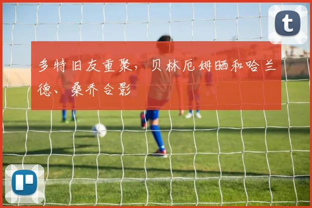 多特旧友重聚，贝林厄姆晒和哈兰德、桑乔合影