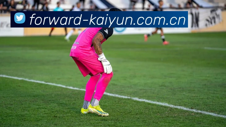 开云 (kaiyun.com)发展历程